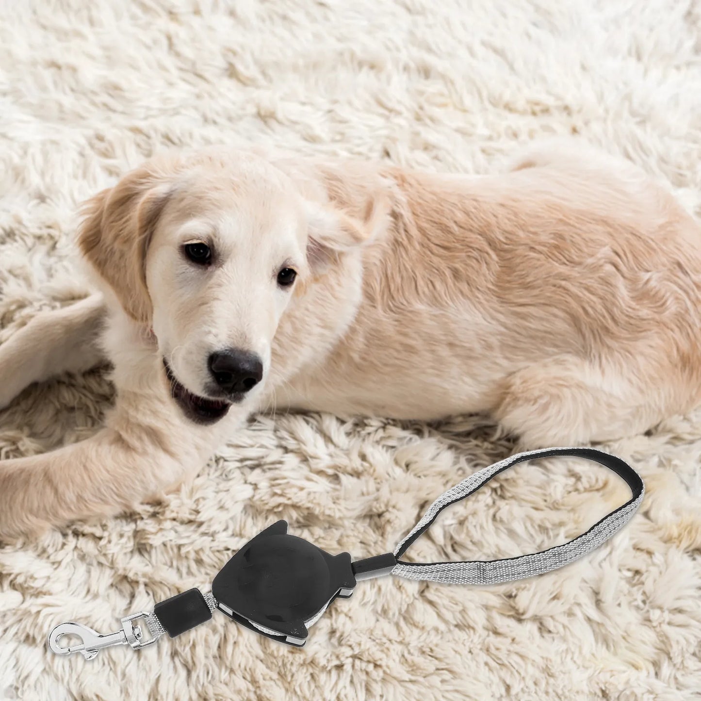 Retractable Dog Leash