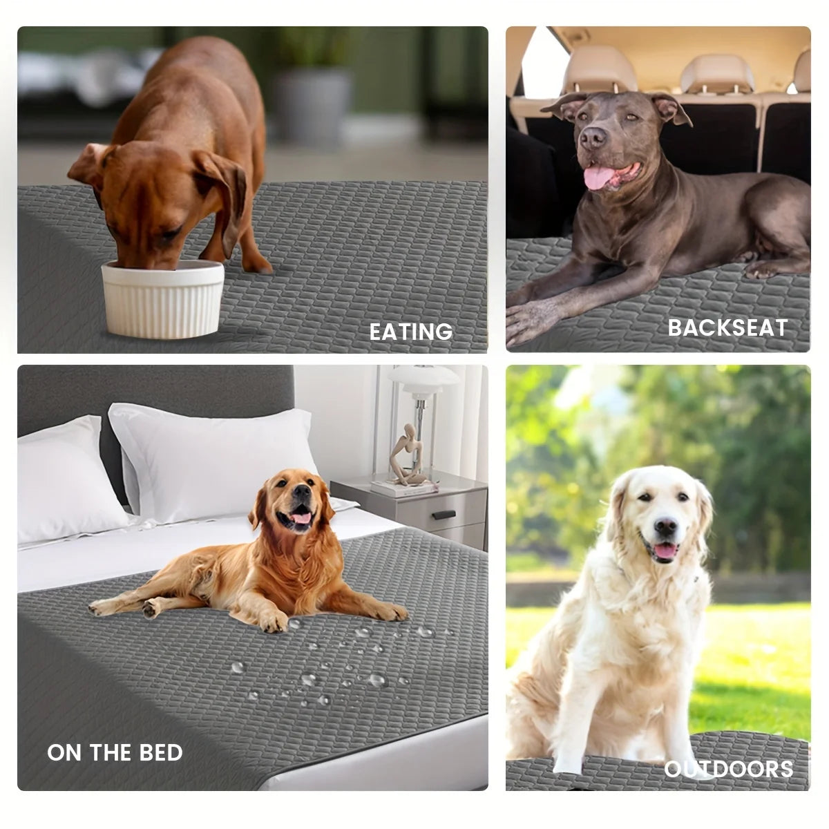 Waterproof Pet Blanket