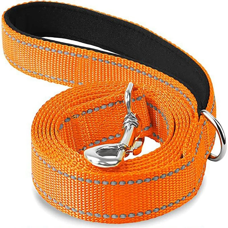 Dog Walking Leash