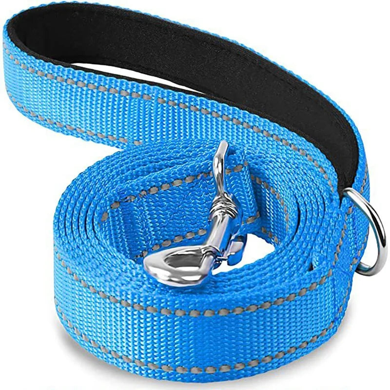 Dog Walking Leash