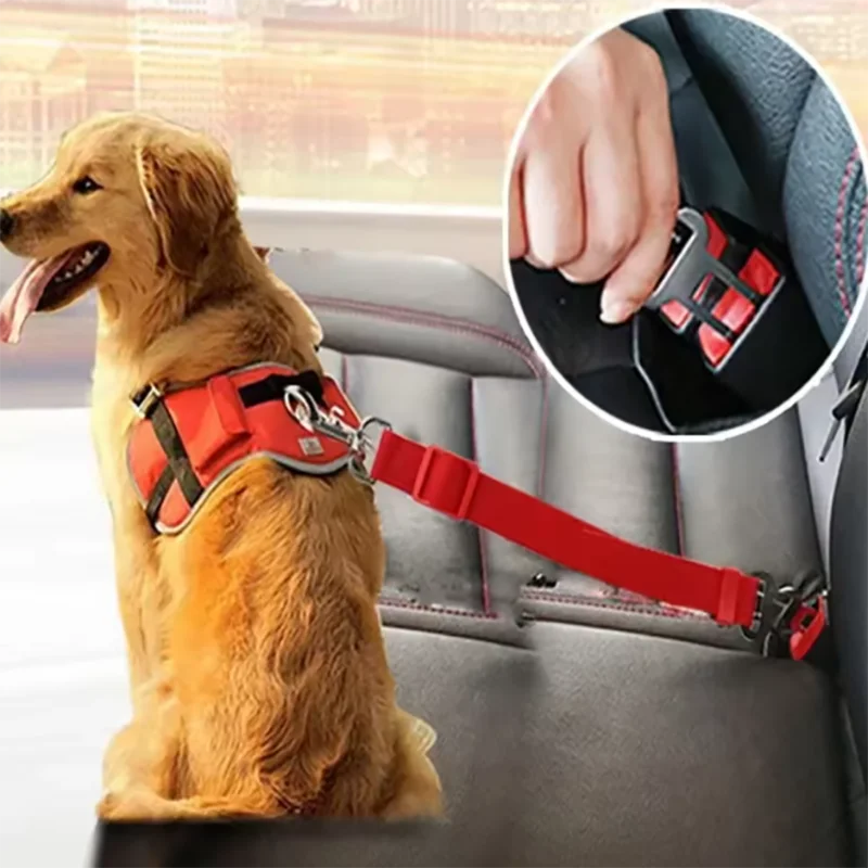 Dog Car Seat Belt