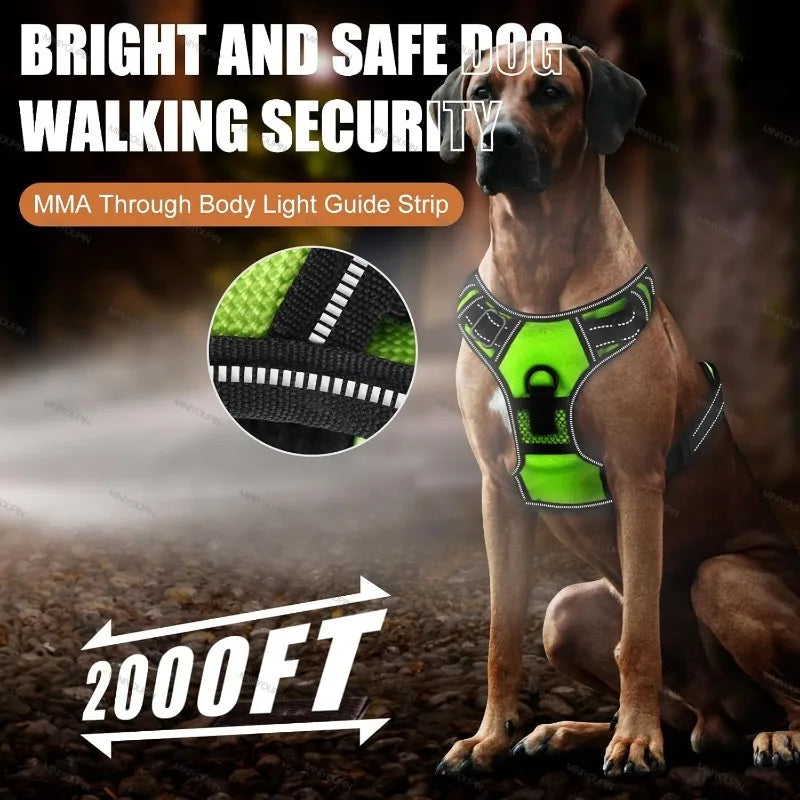 LED Dog Safety Harness