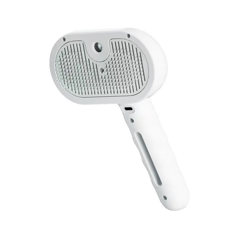 Electric Steamy Brush