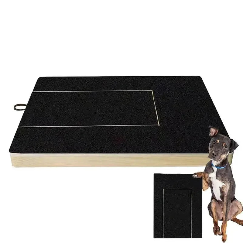Built-in Treat Sandpaper Board Scratcher