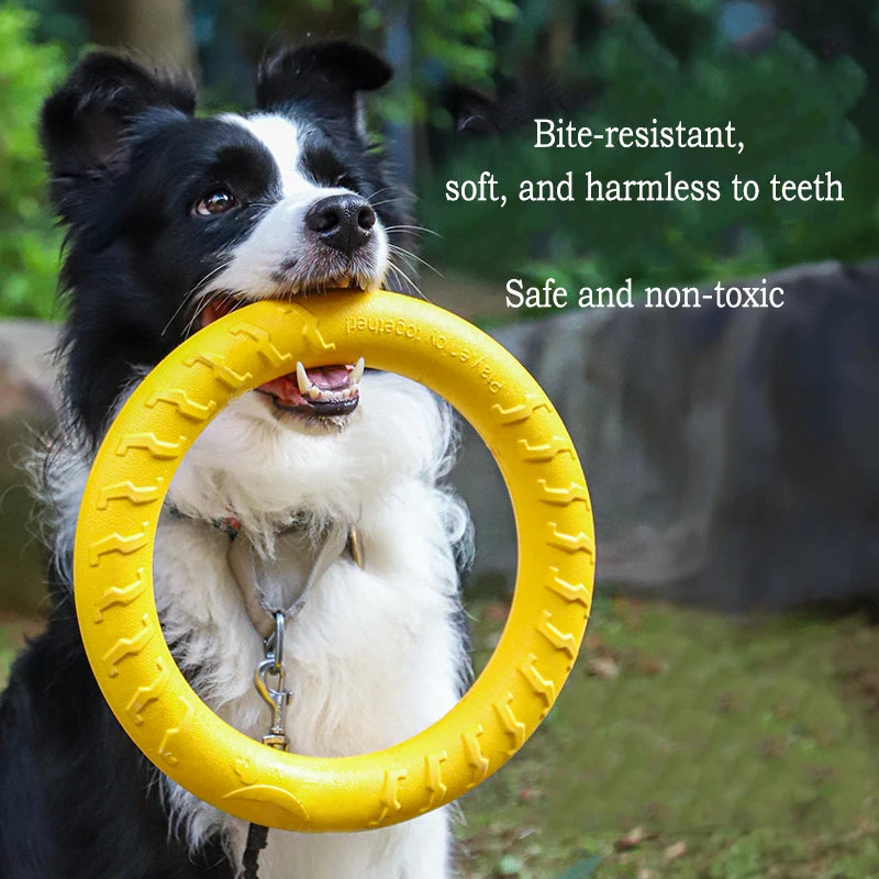 Durable Flying Disc + Ball + Tug Rope