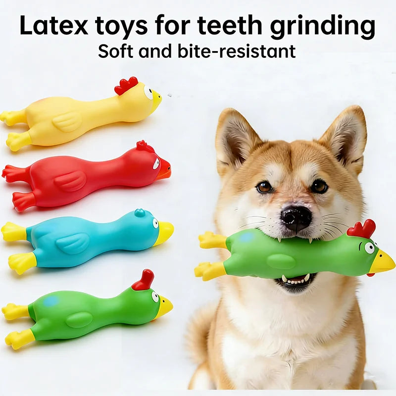 Chicken Squeaky Dog Toy
