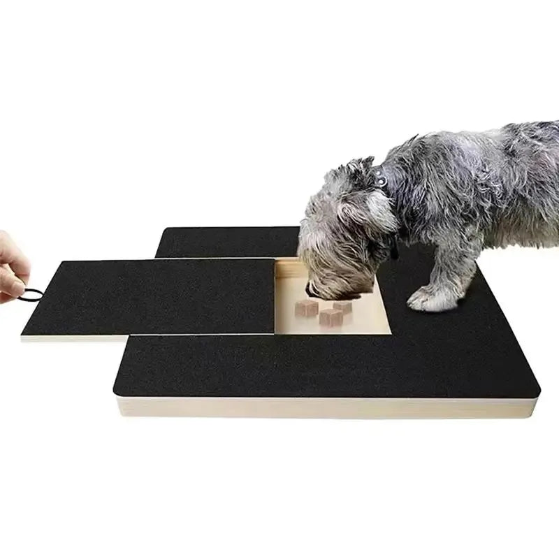 Built-in Treat Sandpaper Board Scratcher
