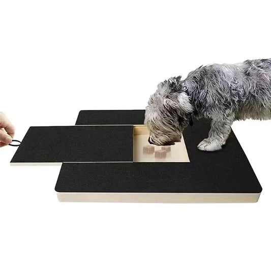 Built-in Treat Sandpaper Board Scratcher