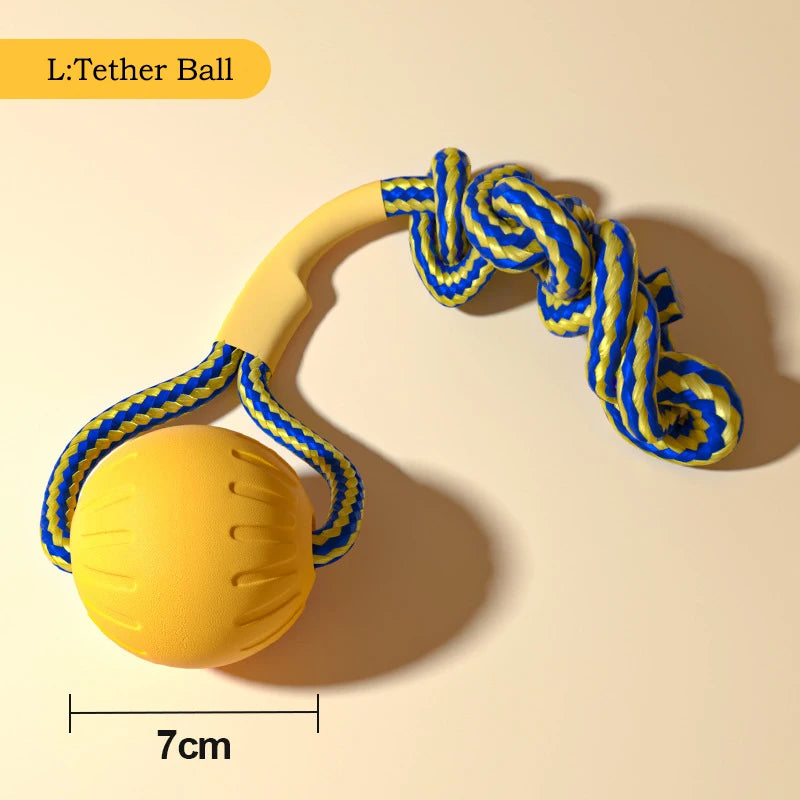 Durable Flying Disc + Ball + Tug Rope