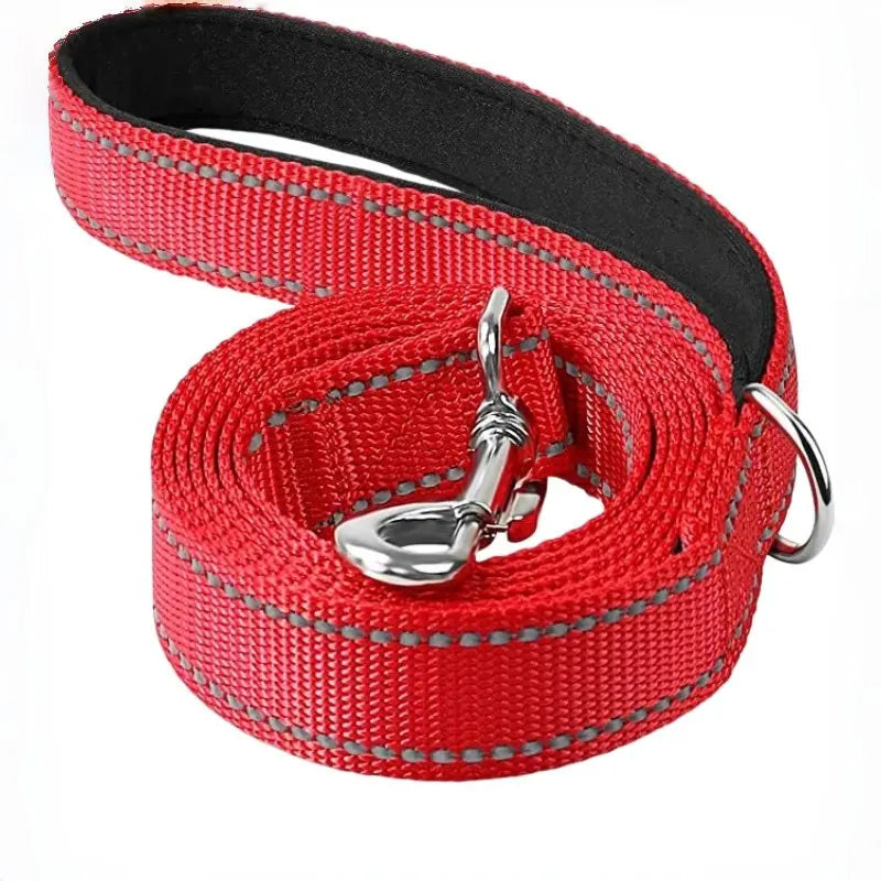 Dog Walking Leash