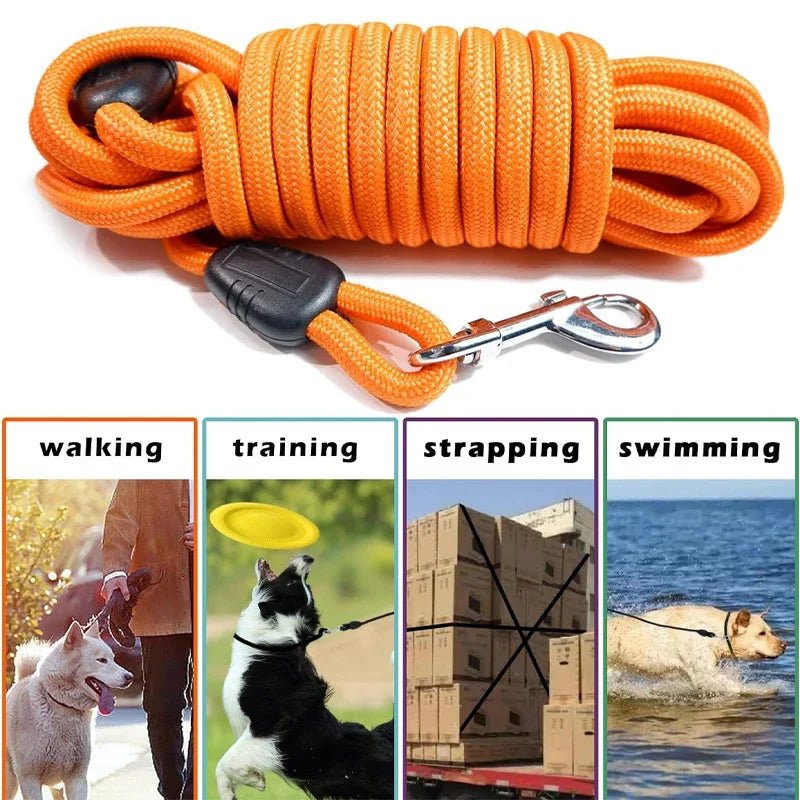 Long Training Leash