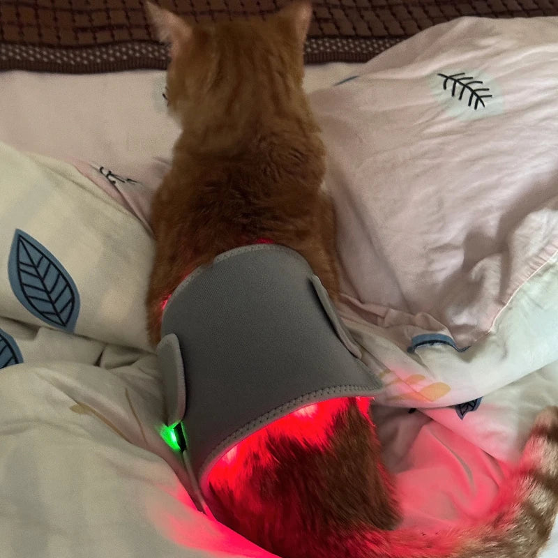 Infrared Red Light Therapy Belt Wrap