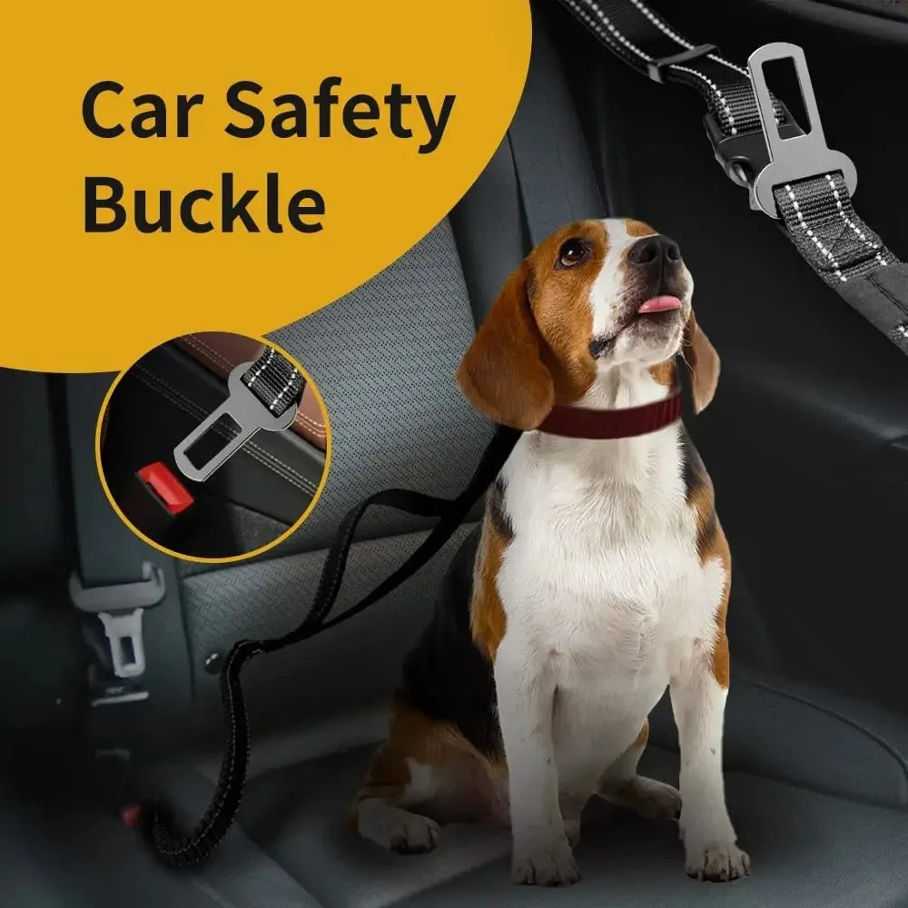 Hands-Free Dog Leash