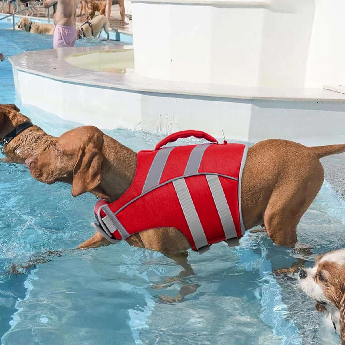 Waterproof Dog Life Jacket