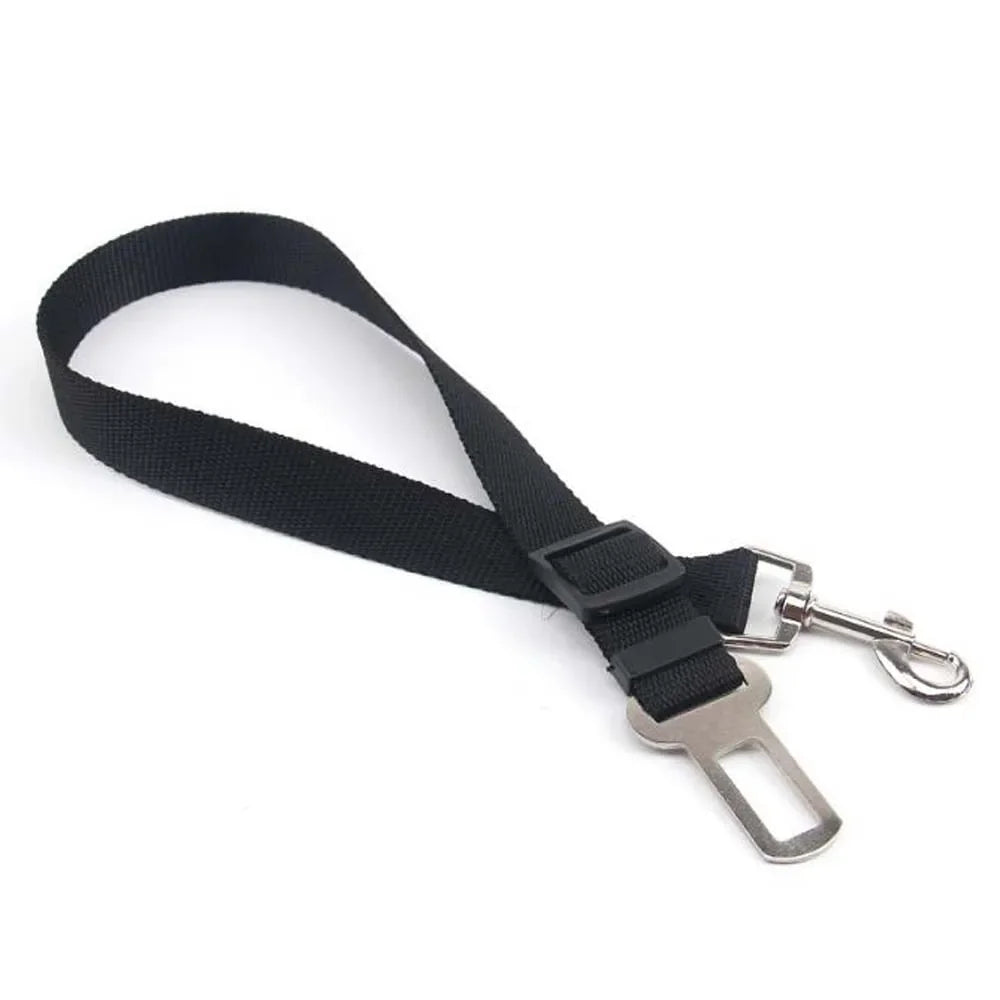 Dog Car Seat Belt