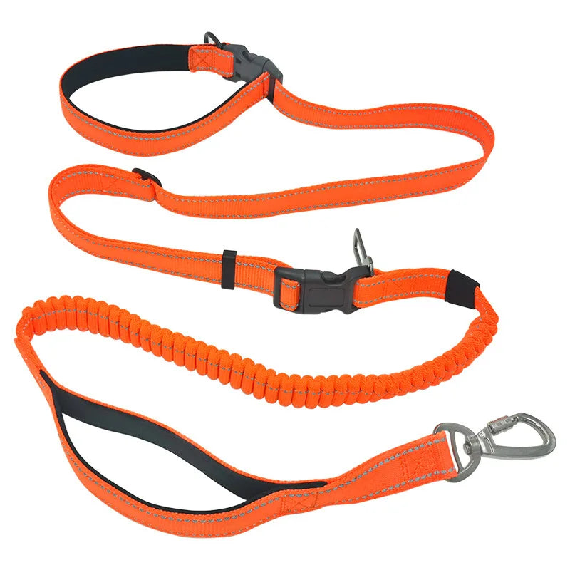 Hands-Free Dog Leash