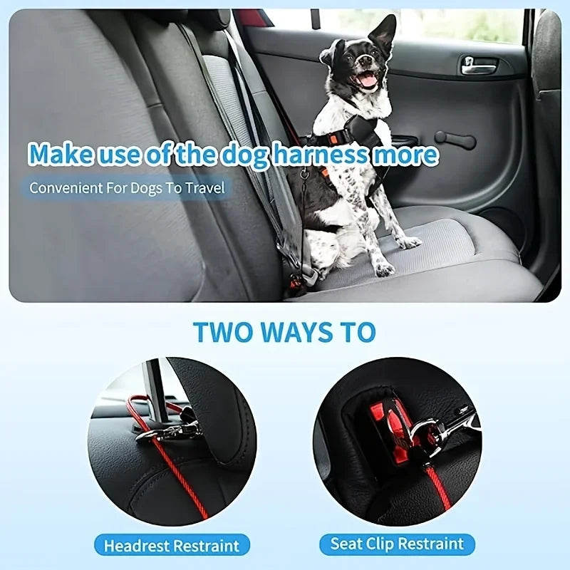 Dog Car Harness