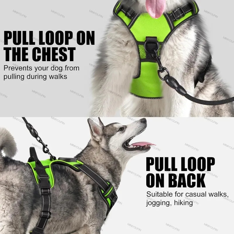 LED Dog Safety Harness