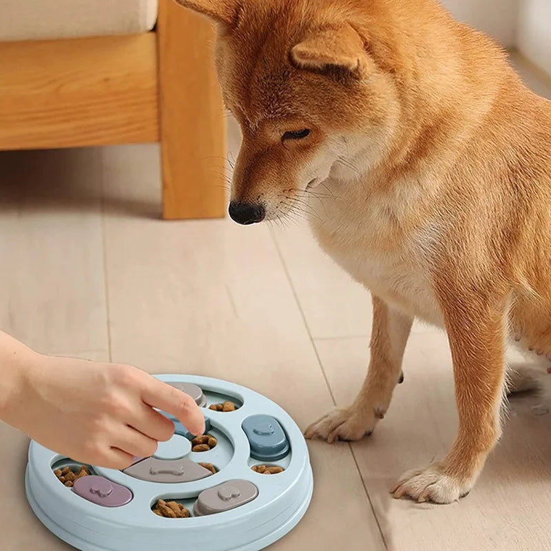 Slow Food Dog Bowl