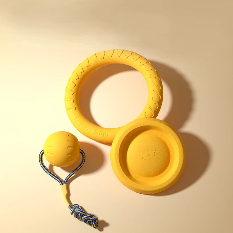 Durable Flying Disc + Ball + Tug Rope