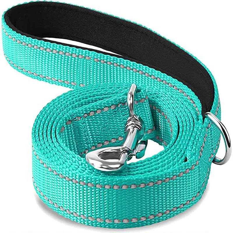 Dog Walking Leash