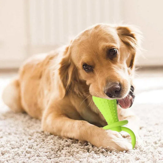 Teeth Cleaning Toy