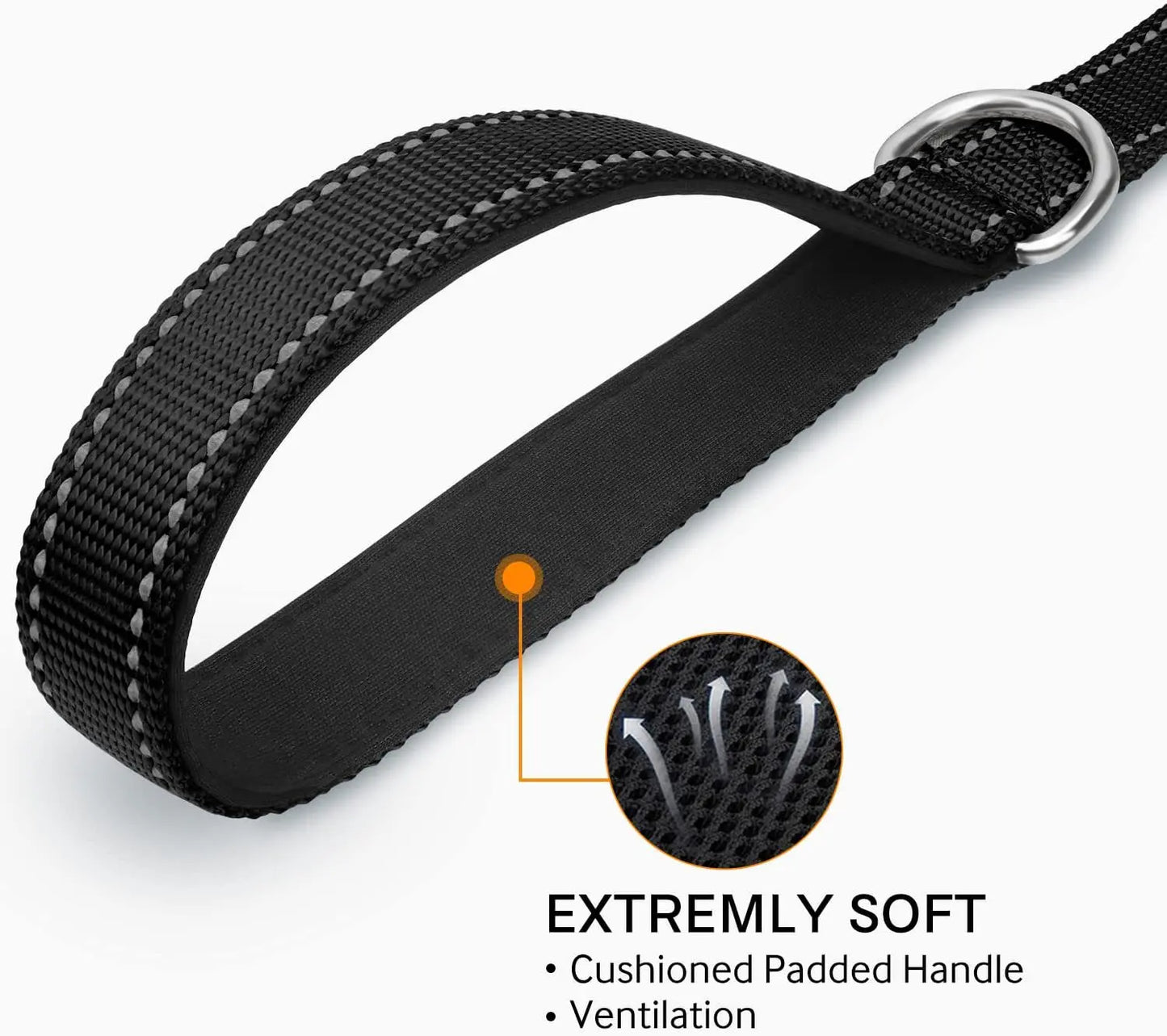 Dog Walking Leash