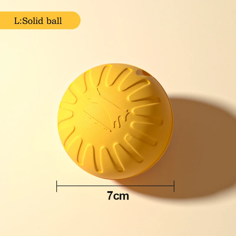 Durable Flying Disc + Ball + Tug Rope