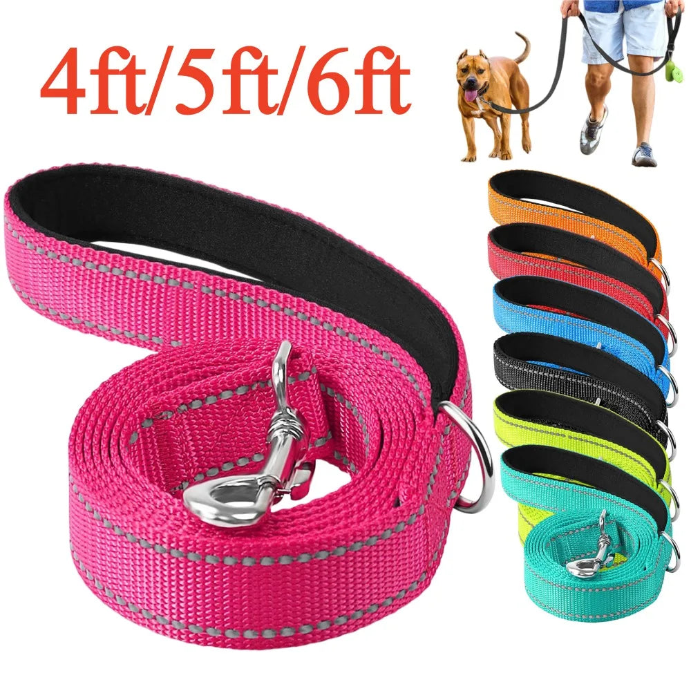 Dog Walking Leash