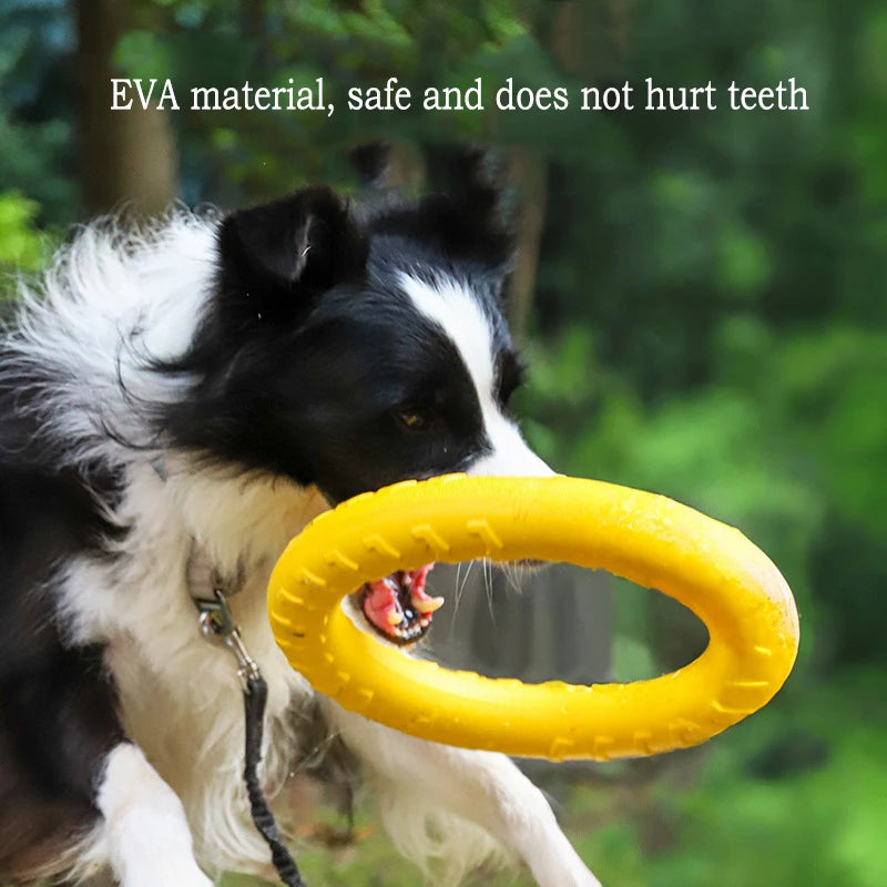 Durable Flying Disc + Ball + Tug Rope