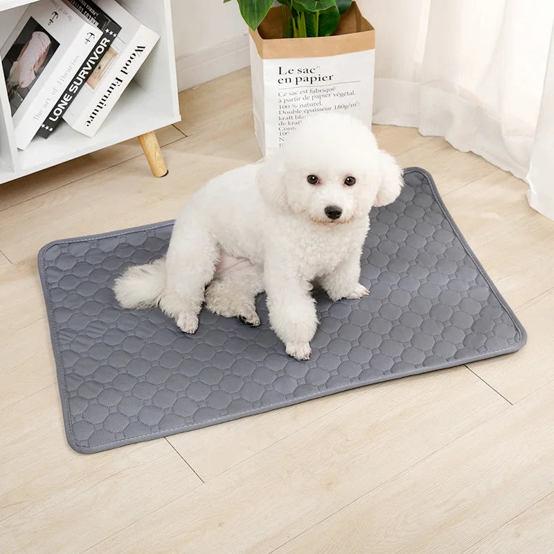 Washable Puppy Pee Pad
