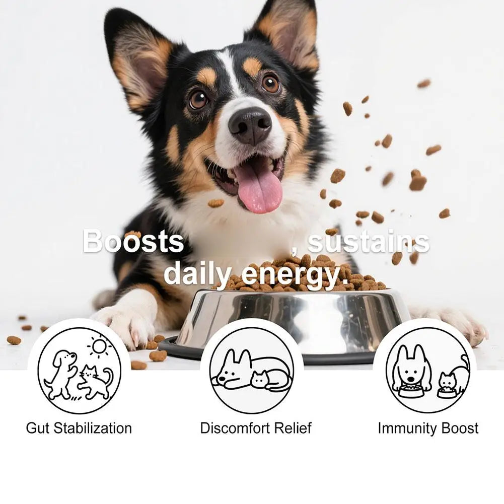 Dog Probiotic Powder