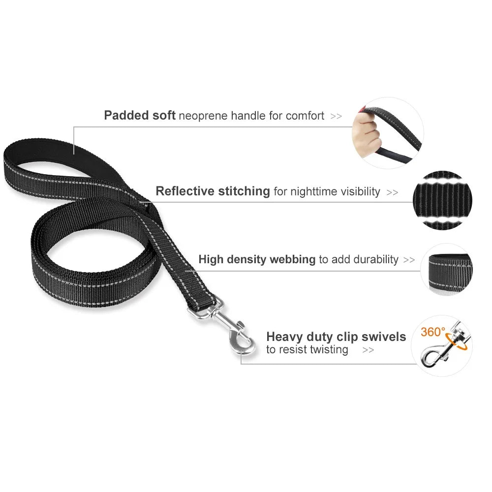 Dog Walking Leash
