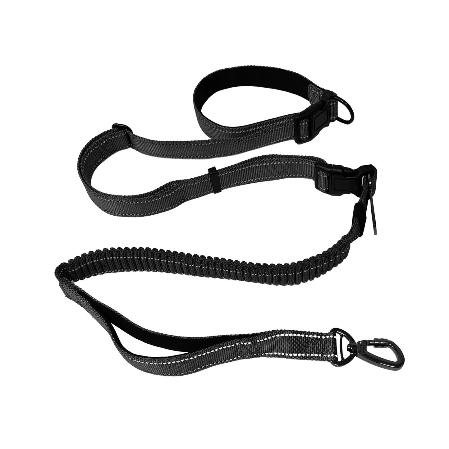 Hands-Free Dog Leash