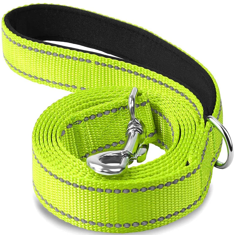 Dog Walking Leash