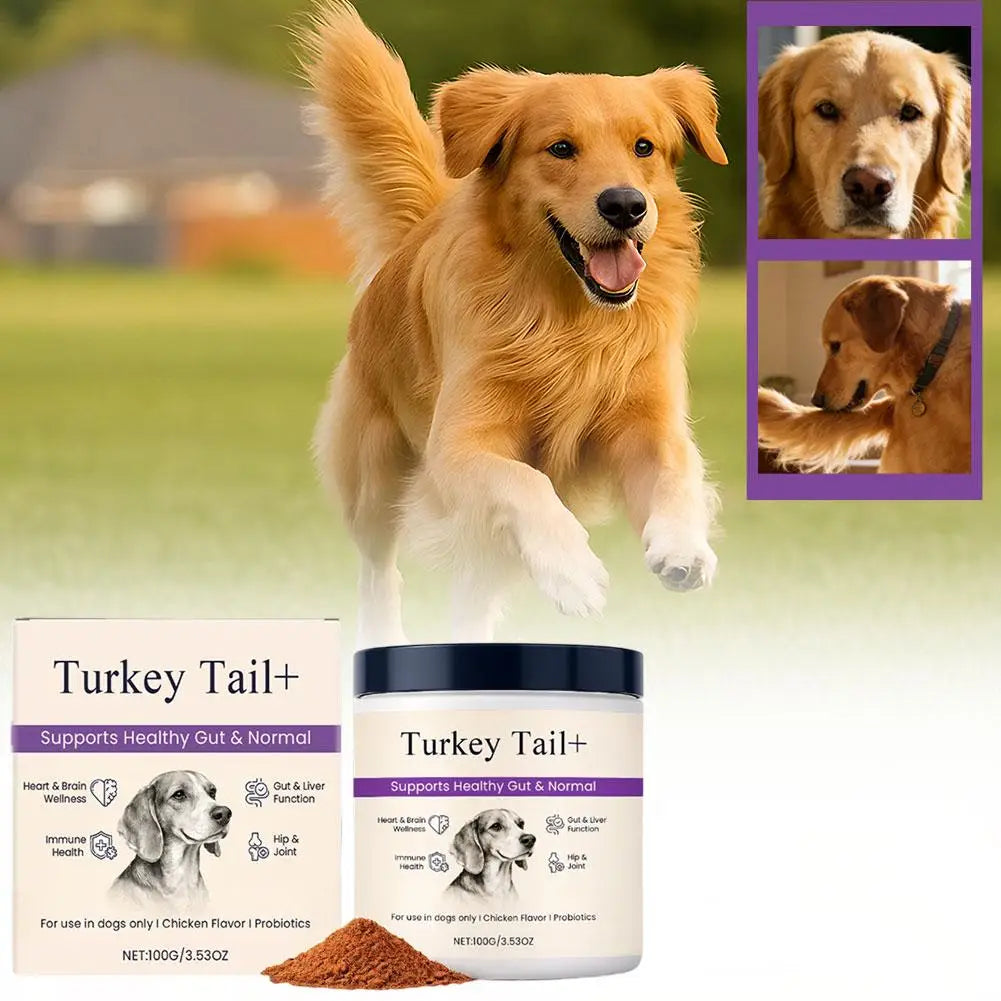 Dog Probiotic Powder
