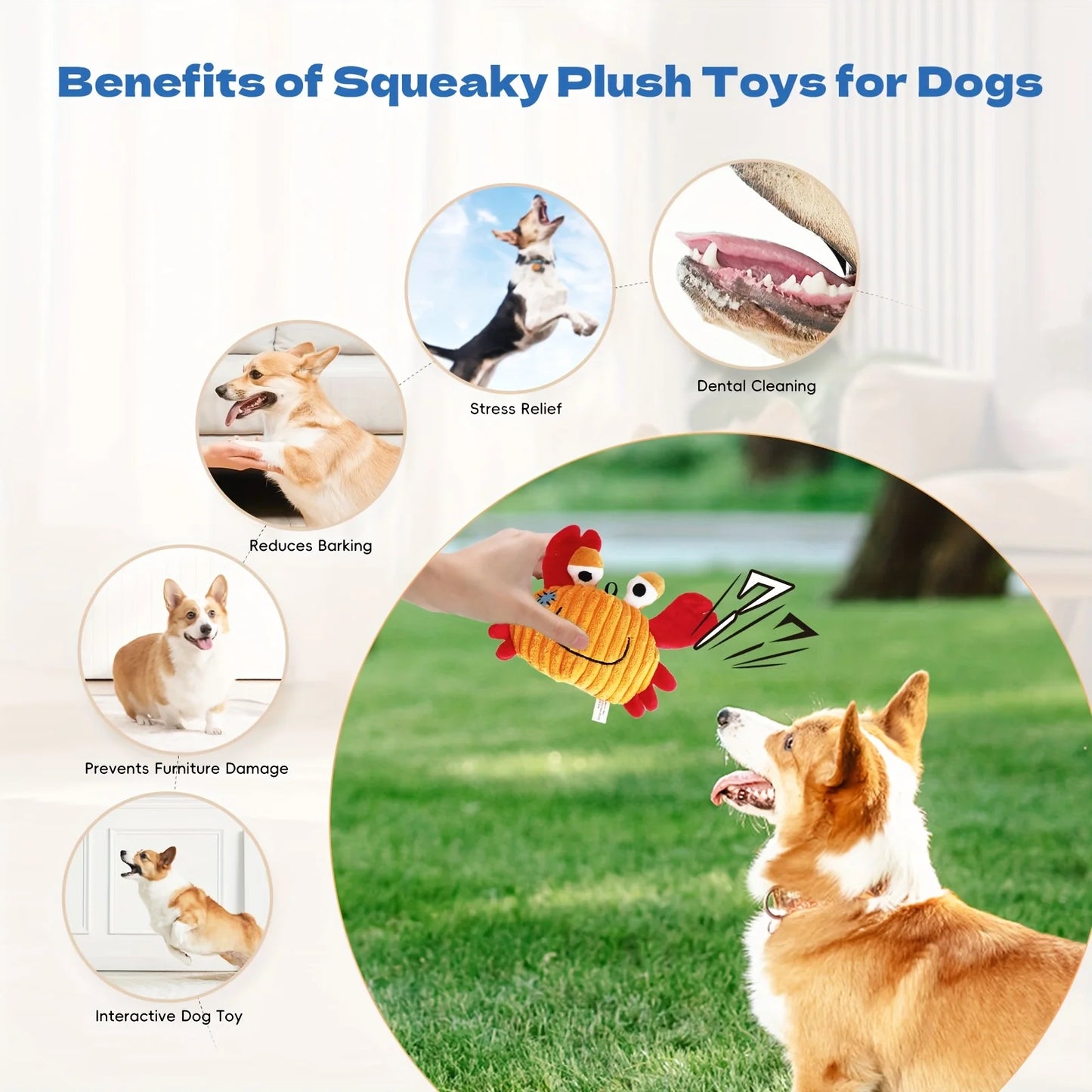 Plush Squeaky Dog Toy