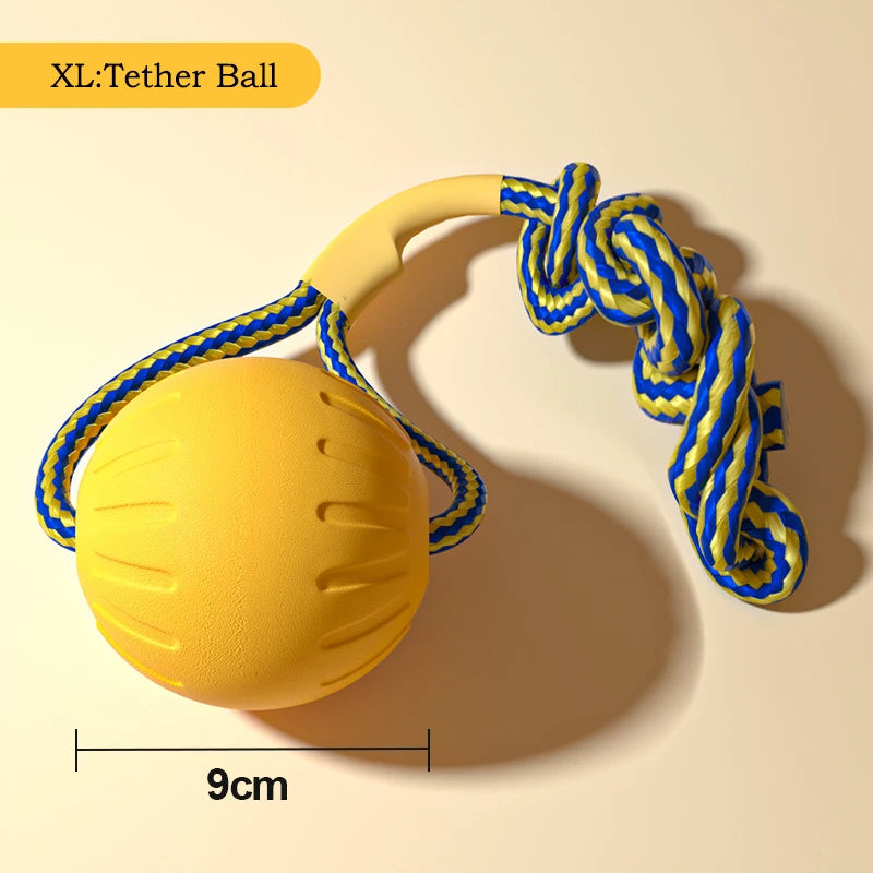 Durable Flying Disc + Ball + Tug Rope