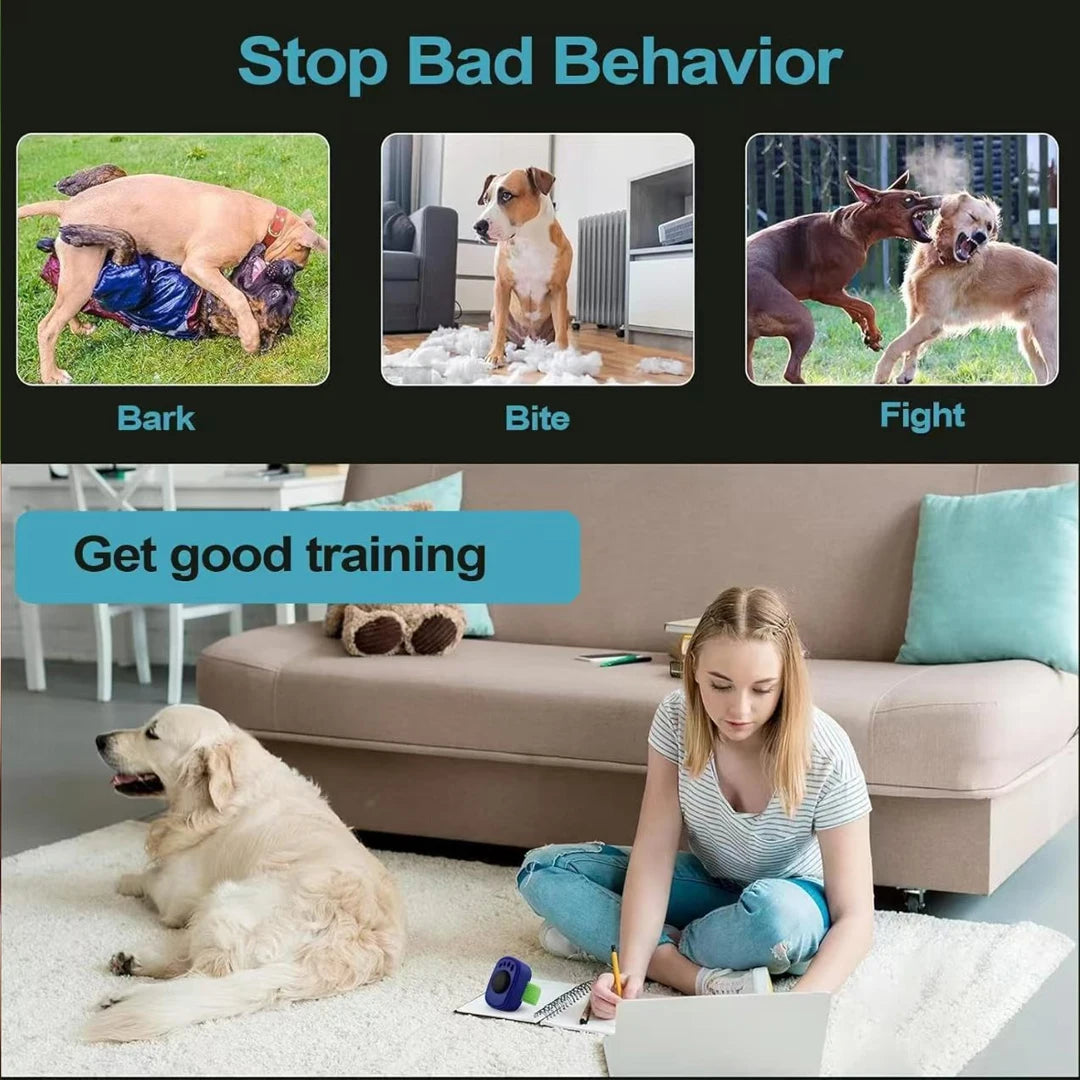 Training Clicker