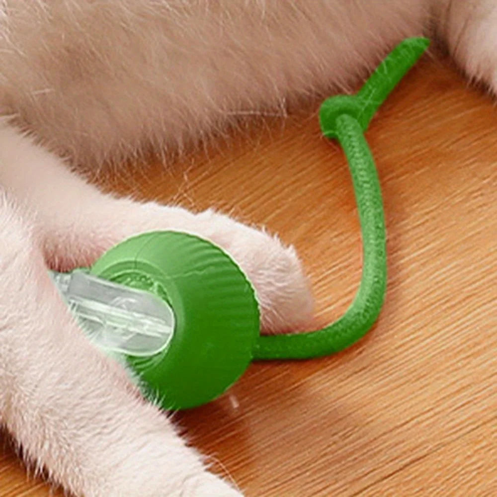 Electric Rolling Ball