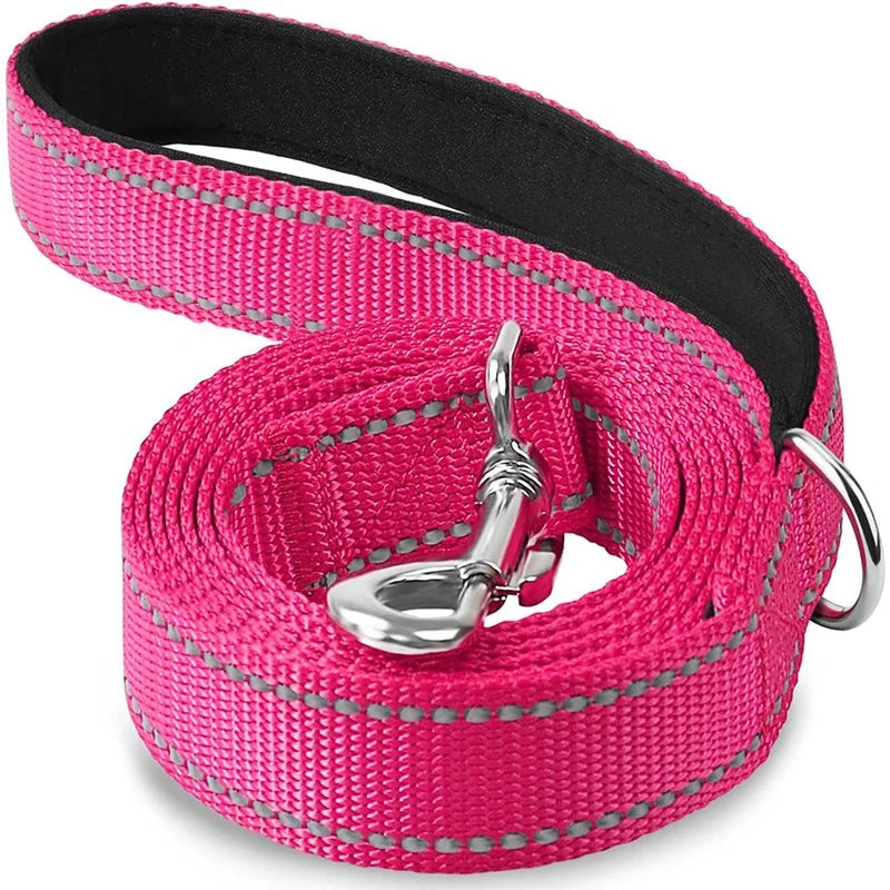 Dog Walking Leash