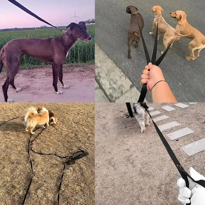 Nylon Training Leash