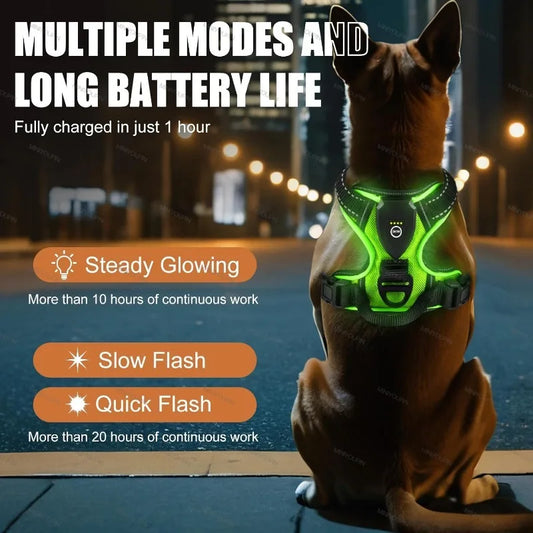 LED Dog Safety Harness
