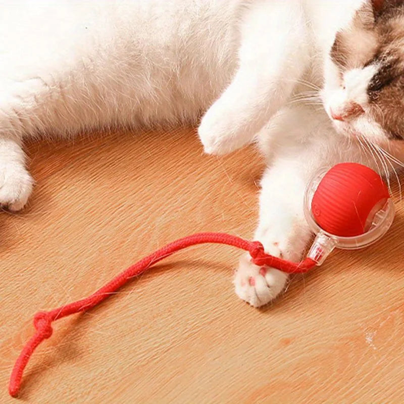 Electric Rolling Ball