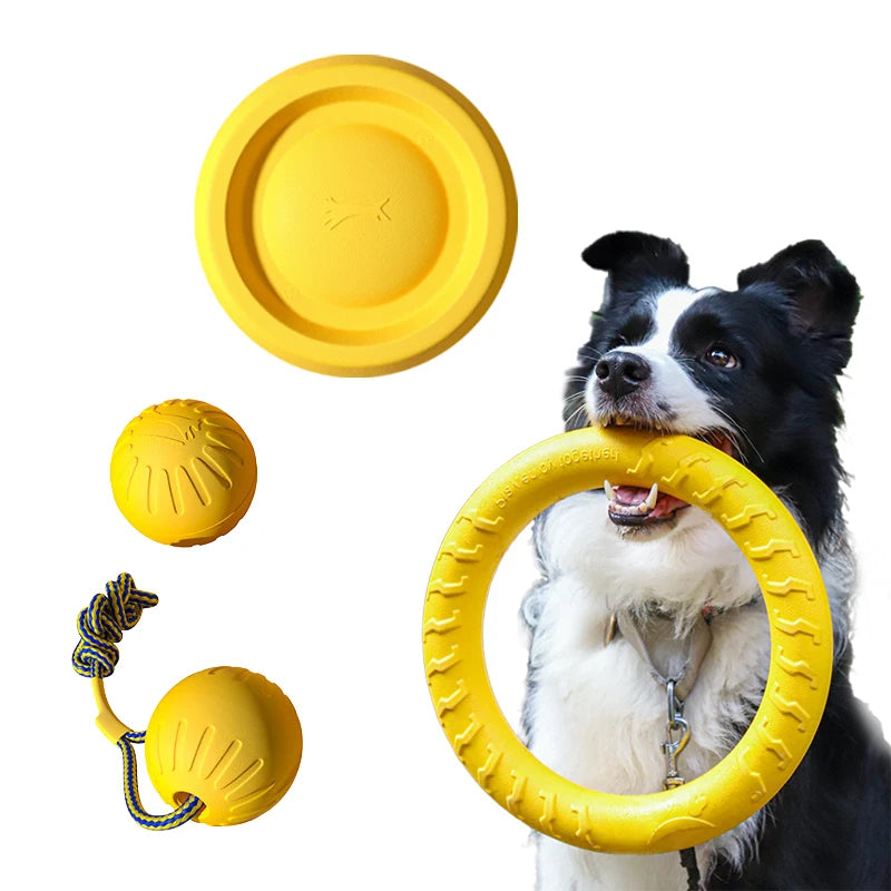 Durable Flying Disc + Ball + Tug Rope
