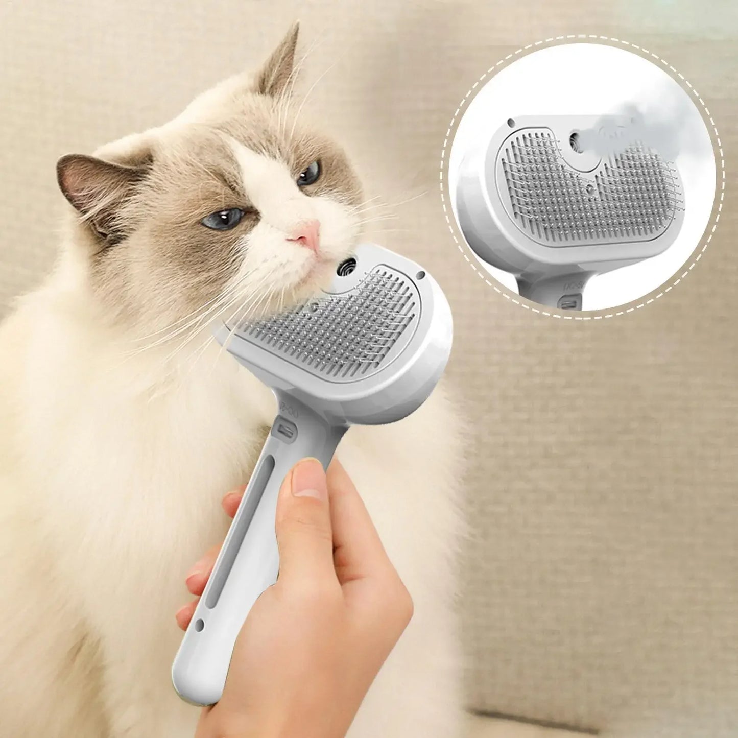Electric Steamy Brush