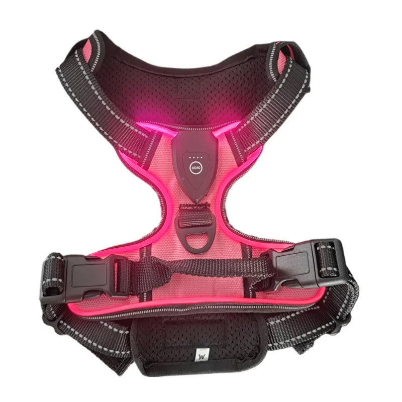 LED Dog Safety Harness
