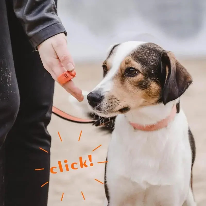 Mini Finger Clicker
