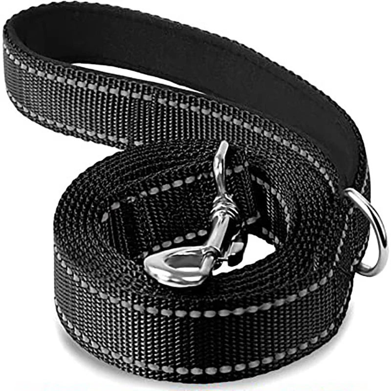 Dog Walking Leash