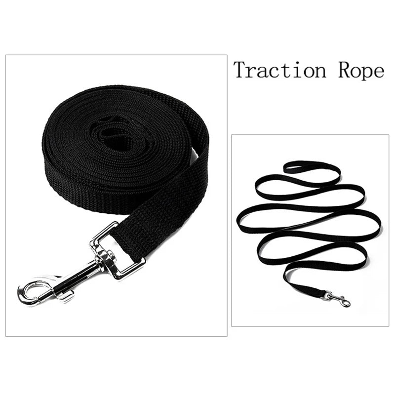 Nylon Training Leash